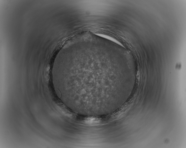 X0000099500319200805291134