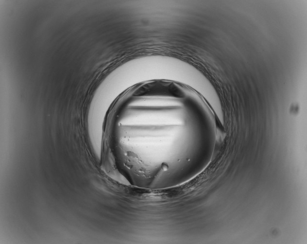 X0000099500320200805291134