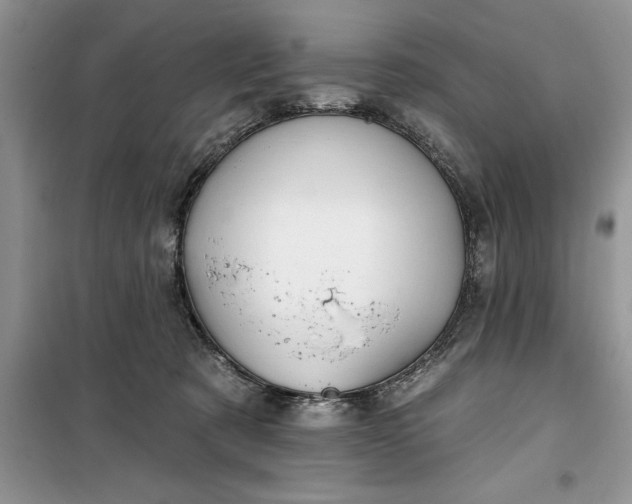 X0000099500321200805291134