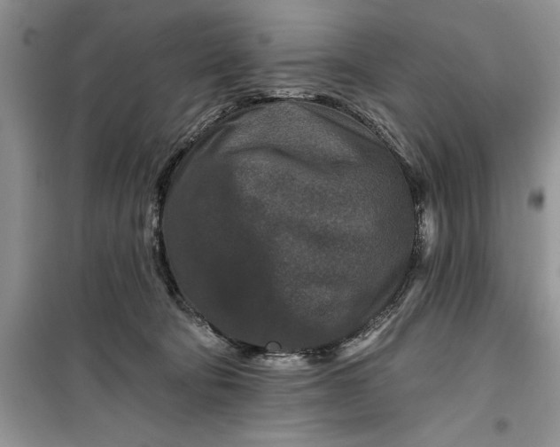 X0000099500322200805291134