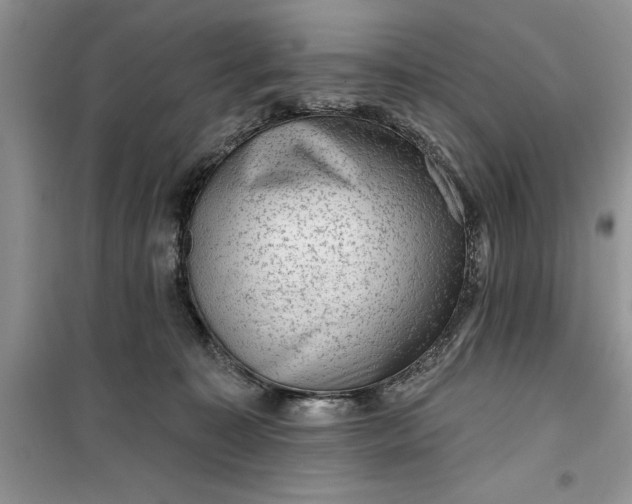 X0000099500323200805291134