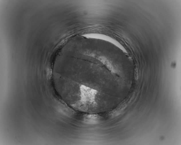 X0000099500324200805291134