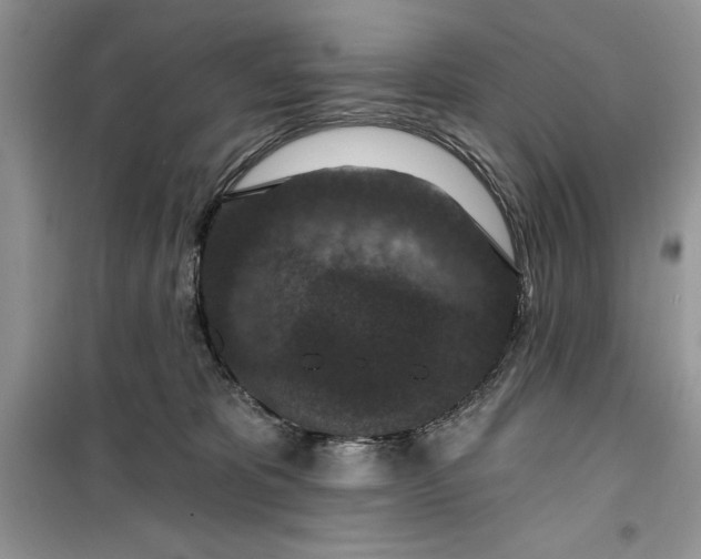 X0000099500325200805291134