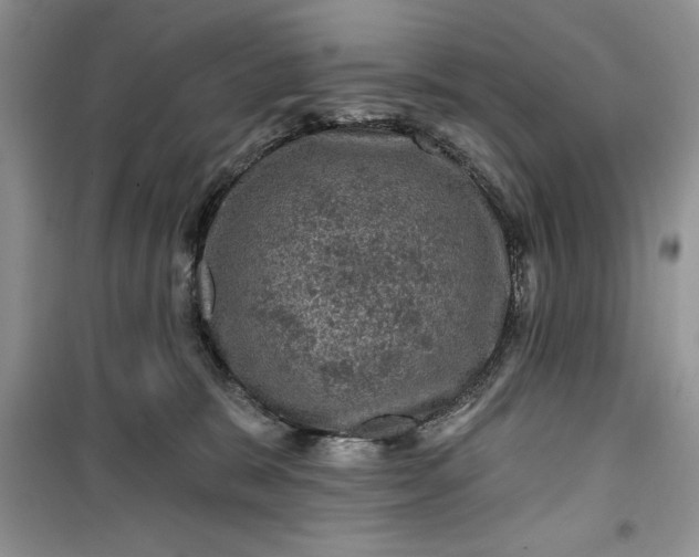 X0000099500327200805291134