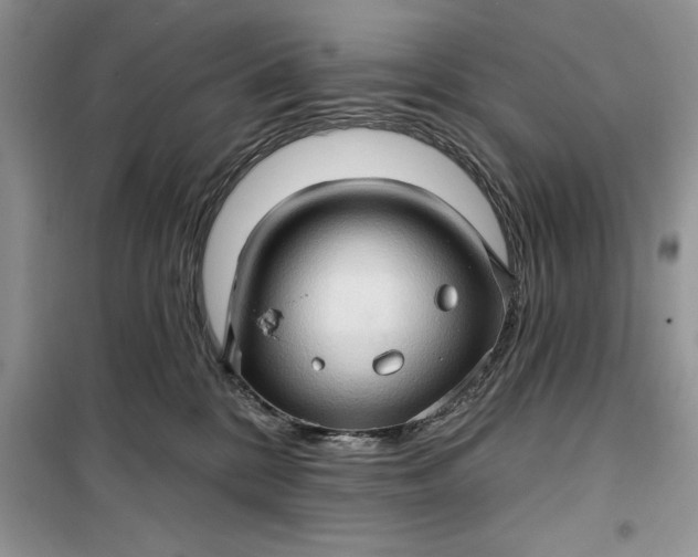 X0000099500328200805291133