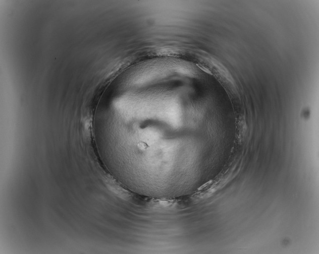 X0000099500329200805291133