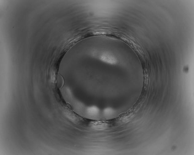 X0000099500331200805291133