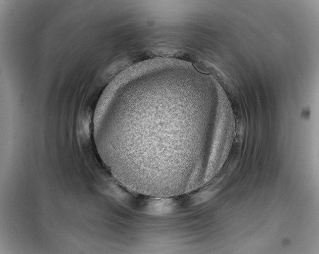 X0000099500334200805291133