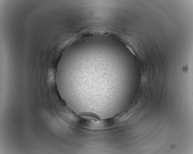 X0000099500335200805291133