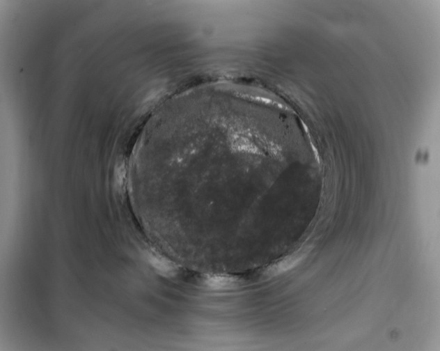 X0000099500336200805291133