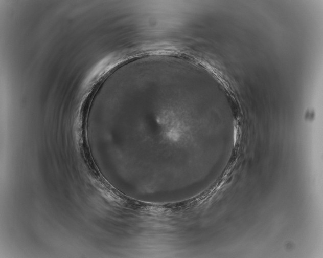 X0000099500339200805291133