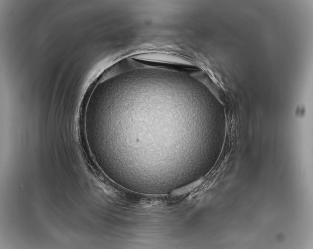 X0000099500340200805291133