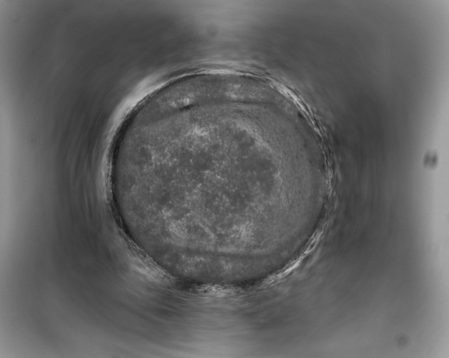 X0000099500343200805291133