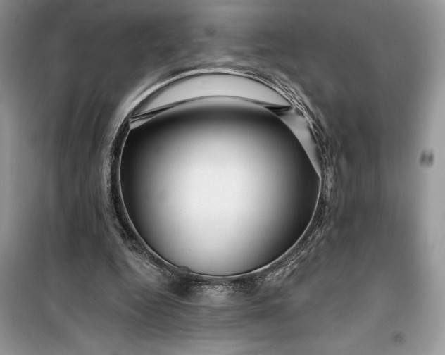 X0000099500344200805291133