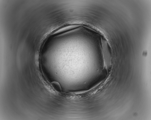 X0000099500345200805291133