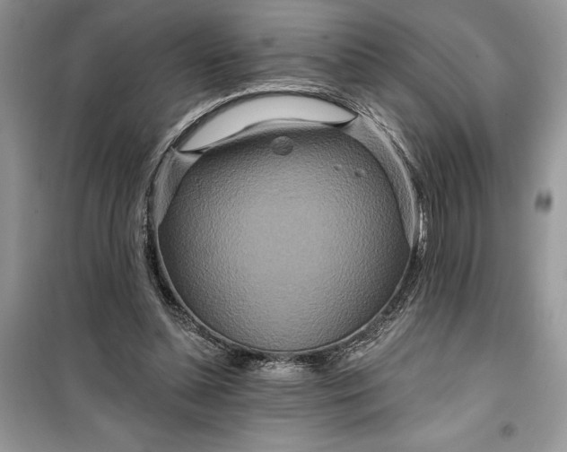 X0000099500348200805291133