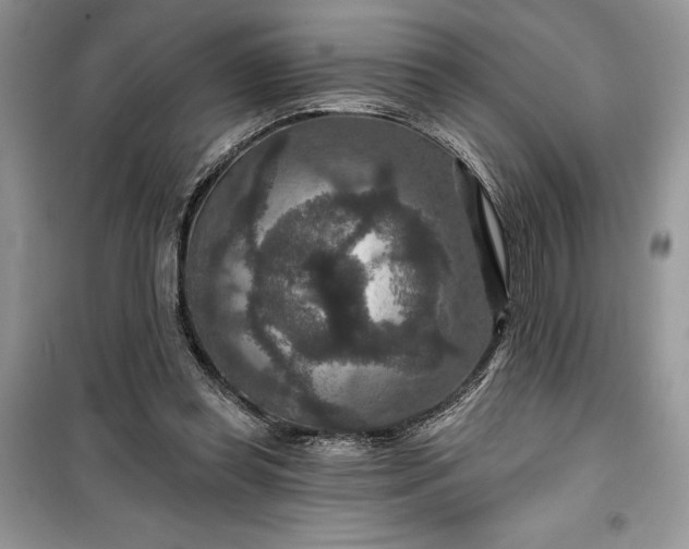 X0000099500349200805291133