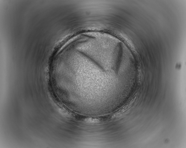 X0000099500354200805291133