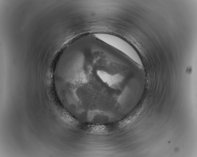 X0000099500355200805291133