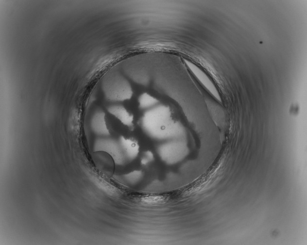 X0000099500357200805291133