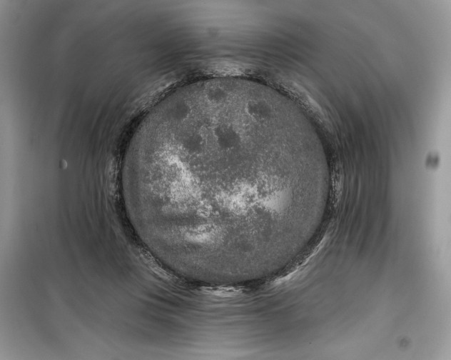 X0000099500359200805291133