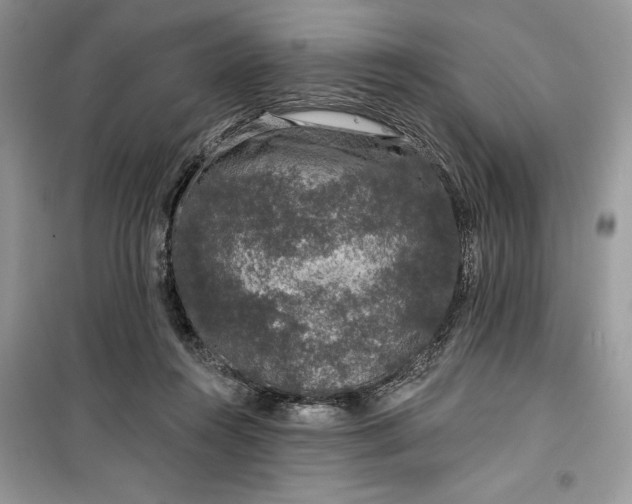 X0000099500360200805291133