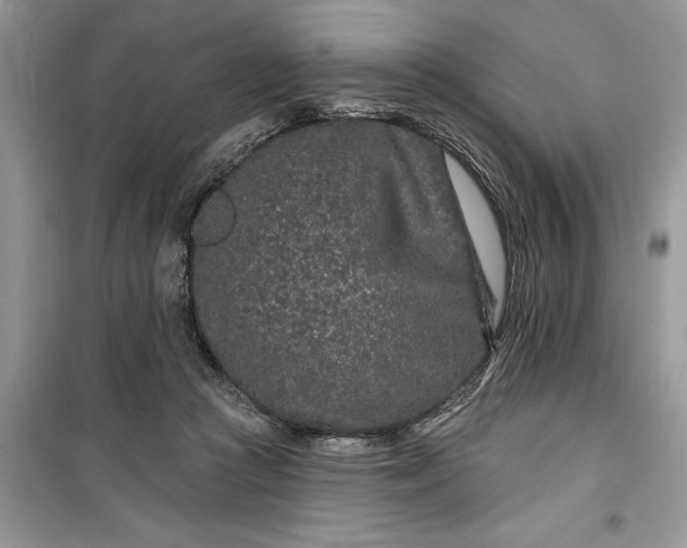 X0000099500361200805291133