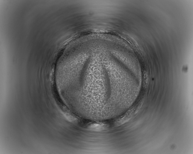 X0000099500364200805291133