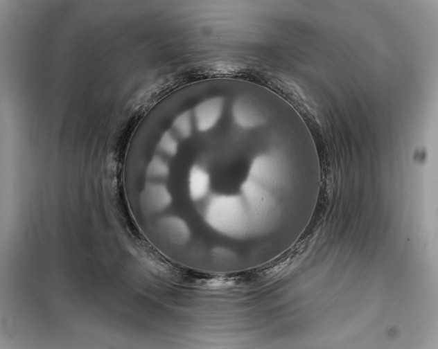 X0000099500366200805291133