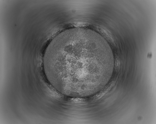 X0000099500367200805291133