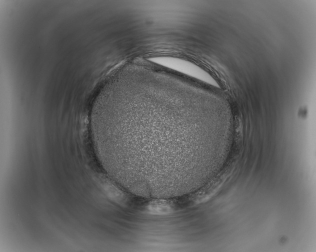 X0000099500369200805291133