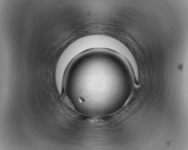 X0000099500372200805291133