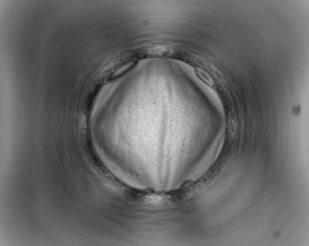 X0000099500375200805291133