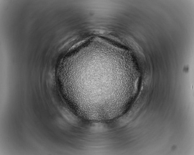 X0000099500376200805291133