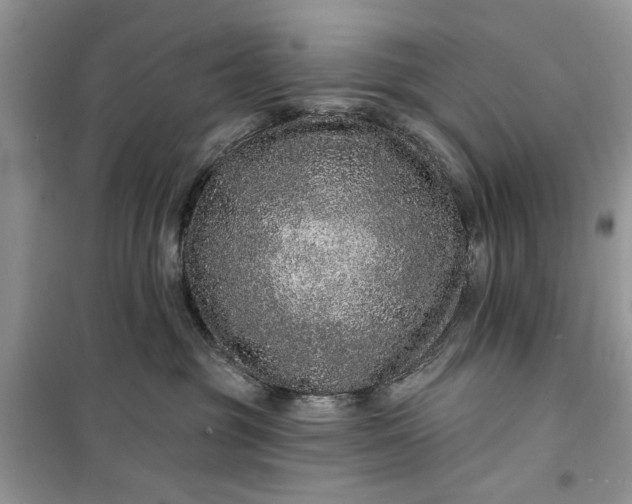 X0000099500381200805291133