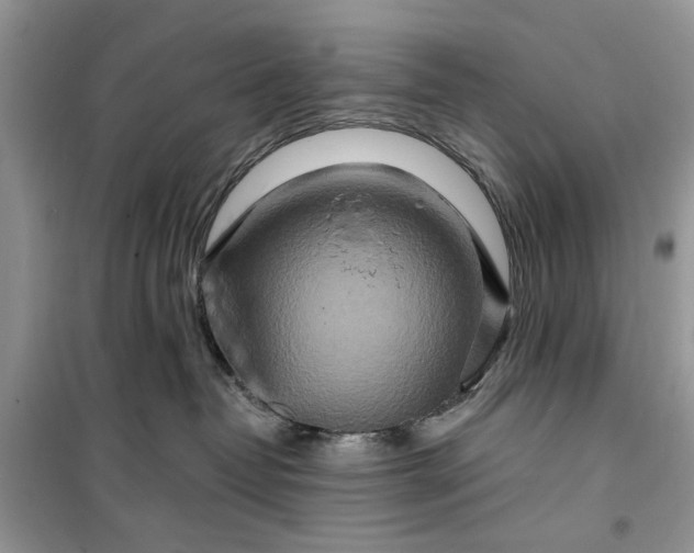 X0000099500382200805291133