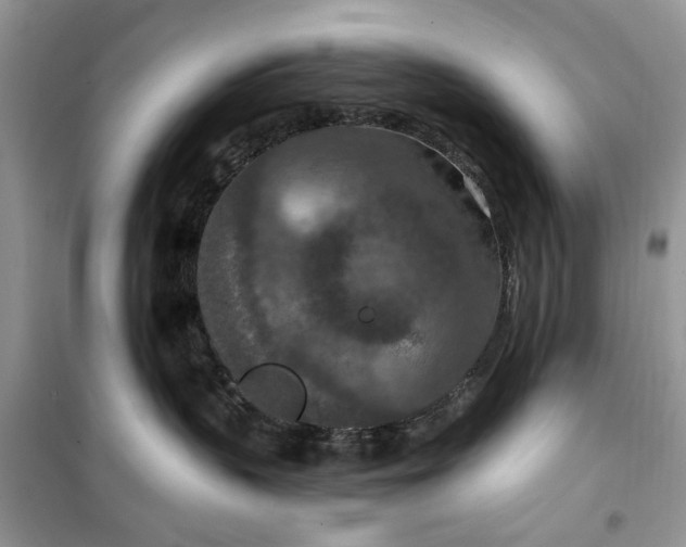 X0000099500383200805291133