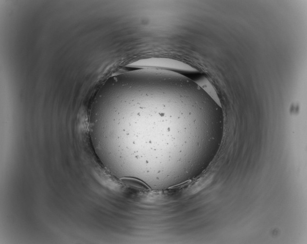 X0000099500384200805291133