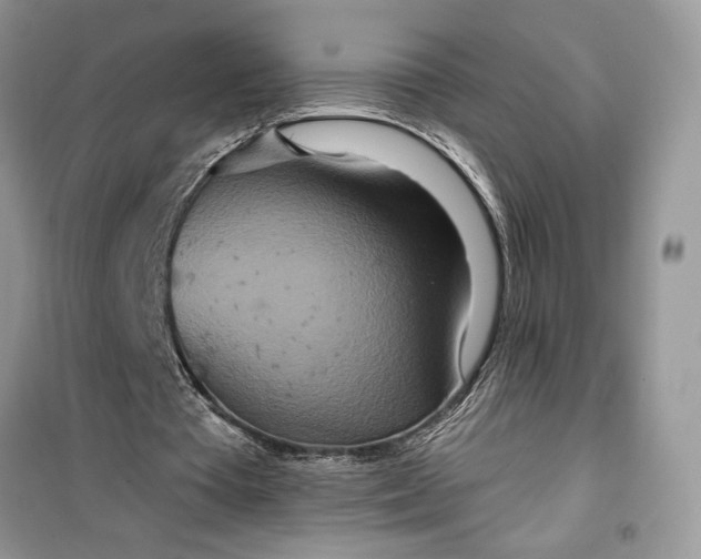 X0000099500385200805291133