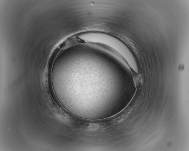 X0000099500388200805291133