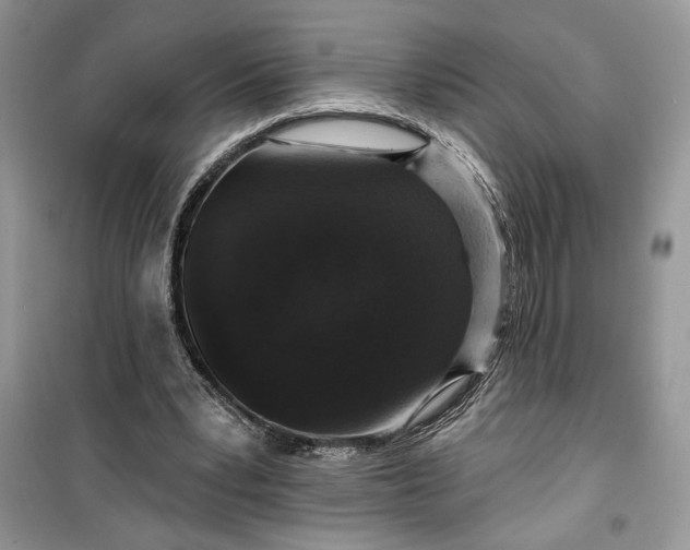 X0000099500391200805291133