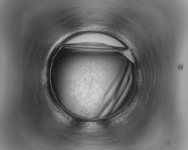 X0000099500392200805291133