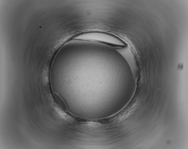 X0000099500393200805291133