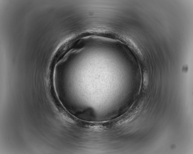 X0000099500396200805291133