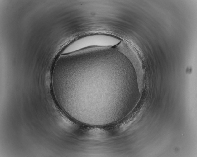 X0000099500397200805291133