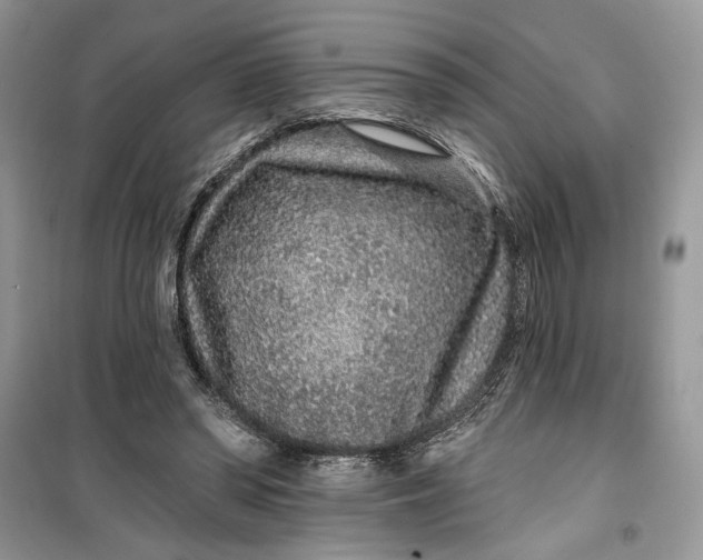 X0000099500398200805291132