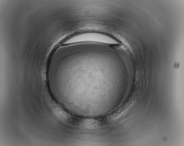 X0000099500399200805291132