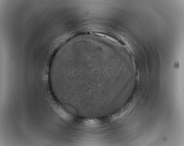 X0000099500402200805291132