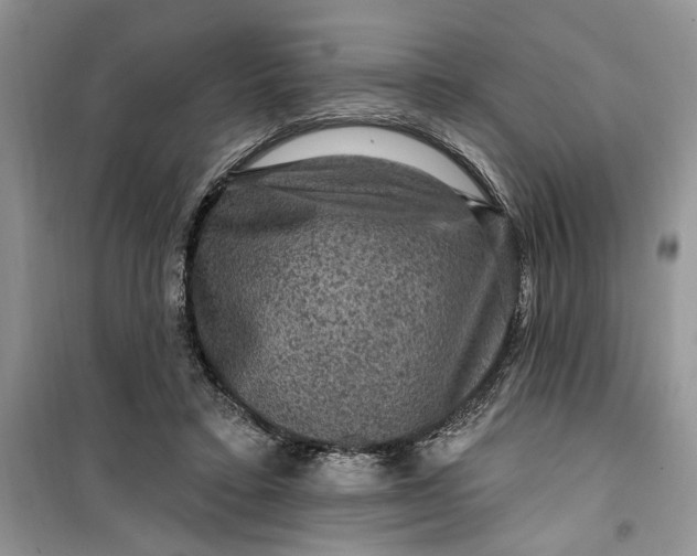 X0000099500403200805291132