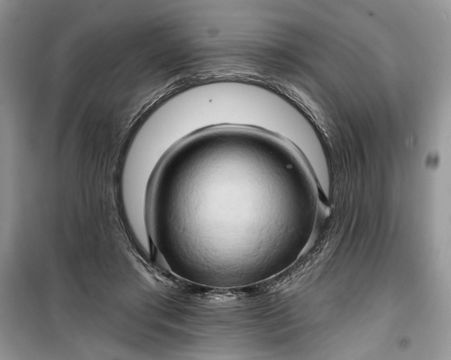 X0000099500405200805291132